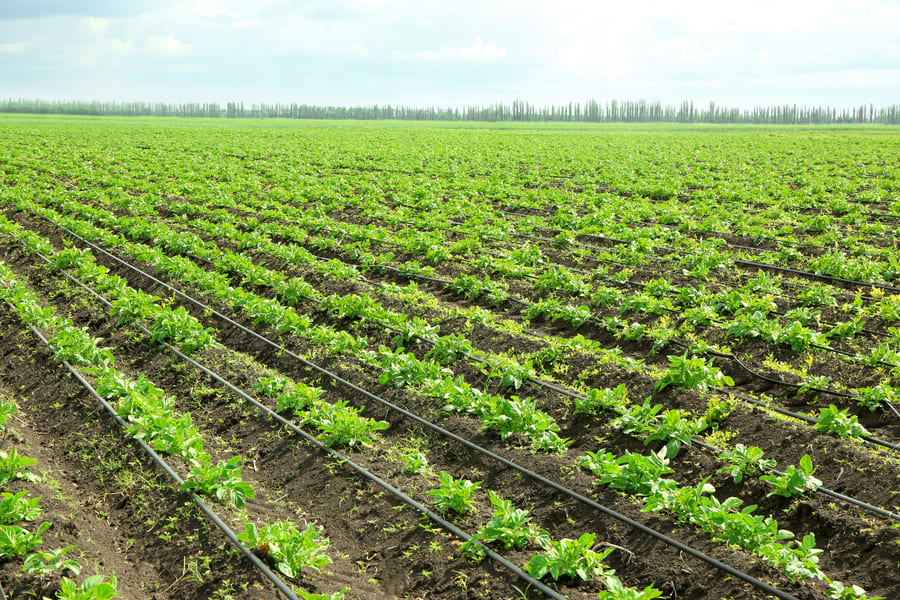 Water management in agriculture