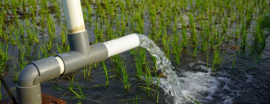PVC pipe irrigation field