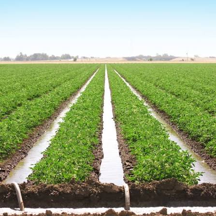 Productive agriculture