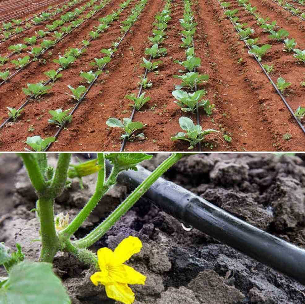 Agricultural sprinkler irrigation