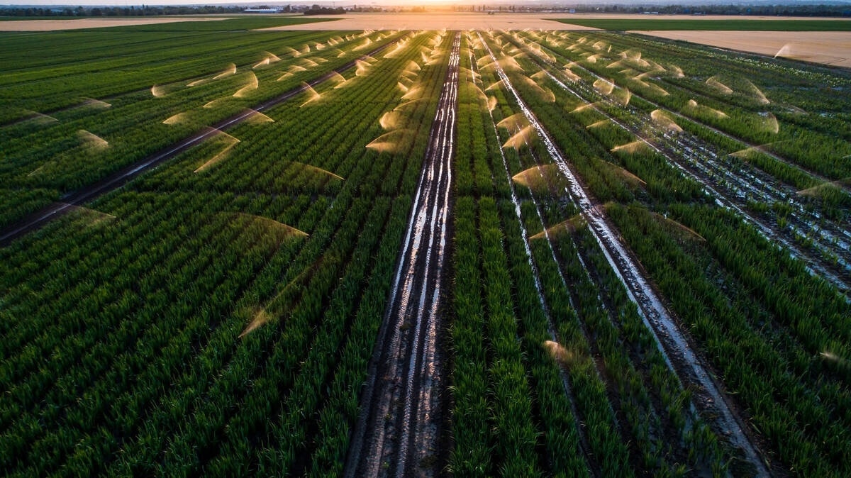 Productive agriculture