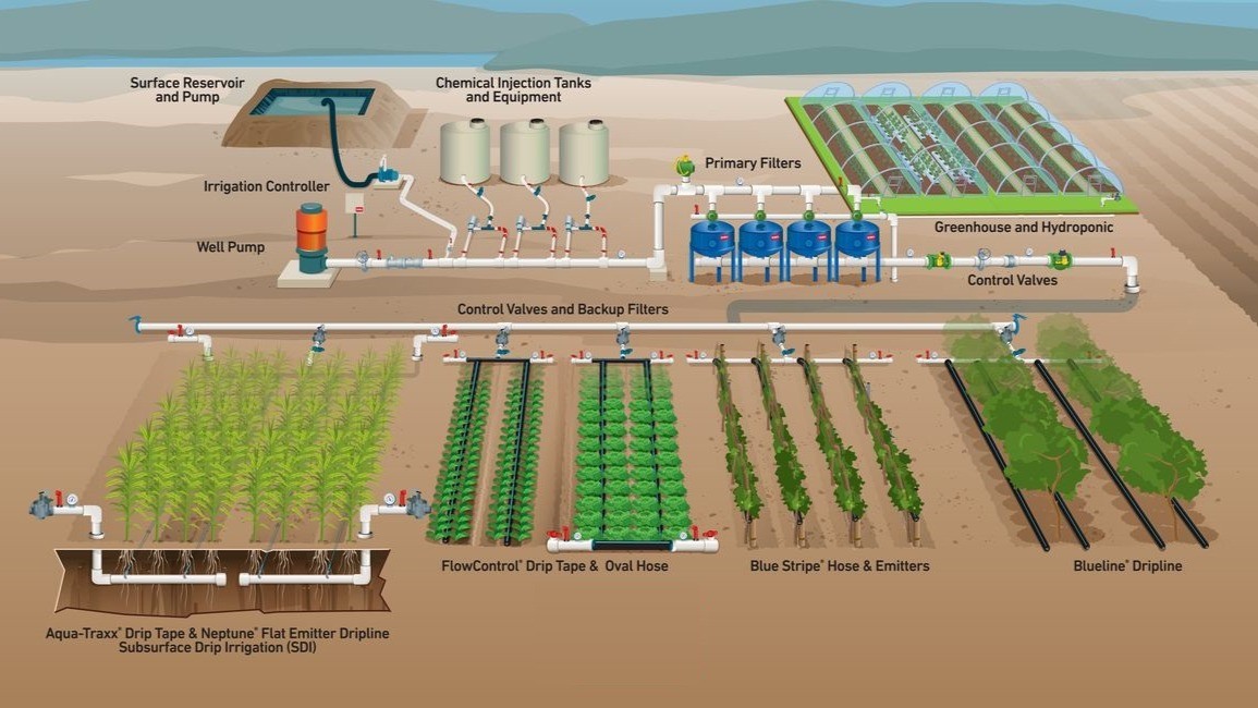 Productive agriculture field